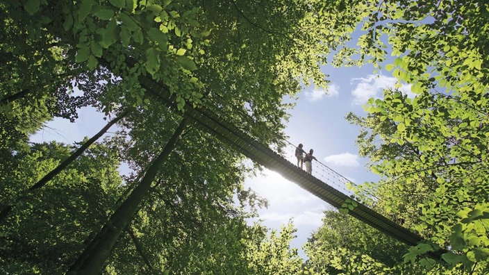 Wanderer auf der Hängebrücke bei Kühhude, Rothaarsteig