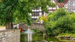 Eine Frau sitzt am Paderquellgebiet in Paderborn