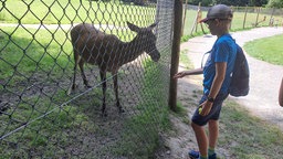 Wildpark im Grafenberger Wald