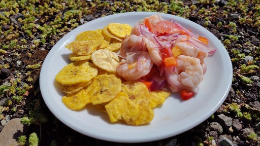 Ceviche de Camarones mit Chifles auf einem weißen Teller angerichtet