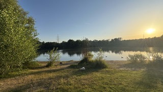 Ein paar Enten am frühen Morgen auf dem Silbersee in Leverkusen