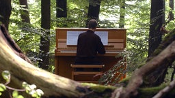 Ein Mann spielt auf einem Klavier mitten im Wald ein Konzert.