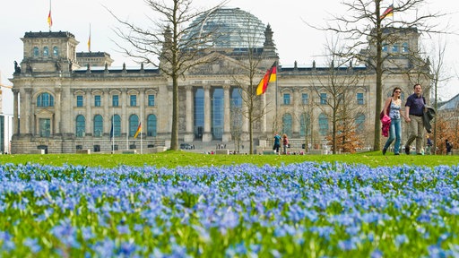 Frühlingsblumen wachsen auf einer Wiese vor dem Reichstag in Berlin.