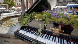 Unbekannte haben einen bepflanzten Bechstein-Flügel neben einem Brunnen einer Stadt abgestellt.