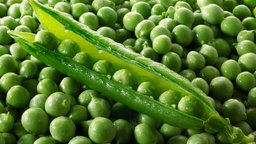 Frische Gartenerbsen und Erbsenschoten