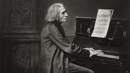 Franz Liszt am Klavier / Foto von E. Hanfstaengl