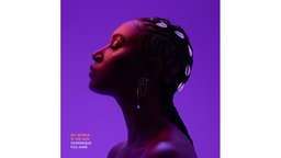 Dominique Fils-Aimé - My World is the Sun