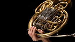 Handproträt vor einem Blasinstrument