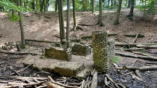 Der "Märchenwald" in Dingden: Alte Mauerreste auf einer Waldlichtung.