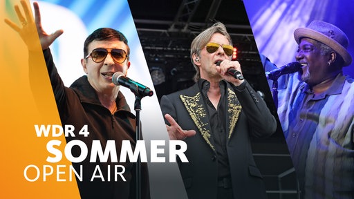 Collage von Marc Almond, Clark Datchler (Johnny Hates Jazz) und Sydney Youngblood, die bei unterschiedlichen Live-Auftritten gestikulierend auf der Bühne stehen