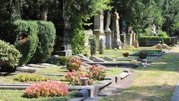 Blick auf von der Sonne beschienene alte Gräber auf dem Melatenfriedhof in Köln