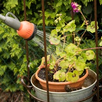Blumen werden mit einer Gießkanne gegossen