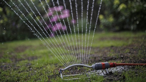 Richtiges Gießen ist im Sommer besonders wichtig