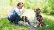 Ein Mann trainiert mit erhobenem Zeigefinger zwei Hunde auf einer grünen Wiese
