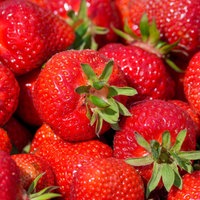 Erdbeeren