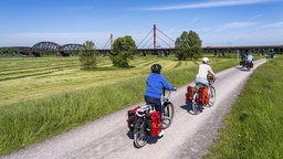 Mehrere Radfahrer auf einem Radweg im Grünen, durch die Rheinwiesen bei Duisburg-Beeckerwerth. 