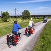 Mehrere Radfahrer auf einem Radweg im Grünen, durch die Rheinwiesen bei Duisburg-Beeckerwerth. 