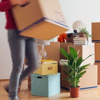 Umzugskartons, sowie Pflanzen, Lampen, Bücher, etc. in der Mitte einer leeren Wohnung. Rechts daneben eine Leiter, links vor den Kisten eine junge Frau, die durchs Bild geht. Sie trägt einen weiteren Umzugskarton.