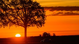 Ein farbenprächtiger rot-orangener Sonnenaufgang über der Landschaft. Man sieht die schwarze Silhouette eines Baumes und eines Autos und die leuchtende aufgehende Sonne am Horizont. 