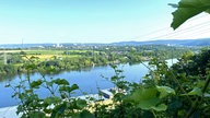 Auf "Wein-Jagd" am Hengsteysee: Ausblick auf das Wasser vom Weinberg aus