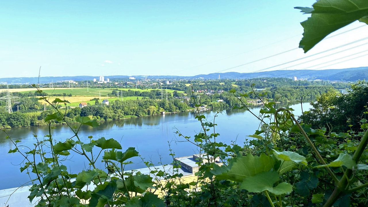 Auf "Wein-Jagd" am Hengsteysee: Ausblick auf das Wasser vom Weinberg aus