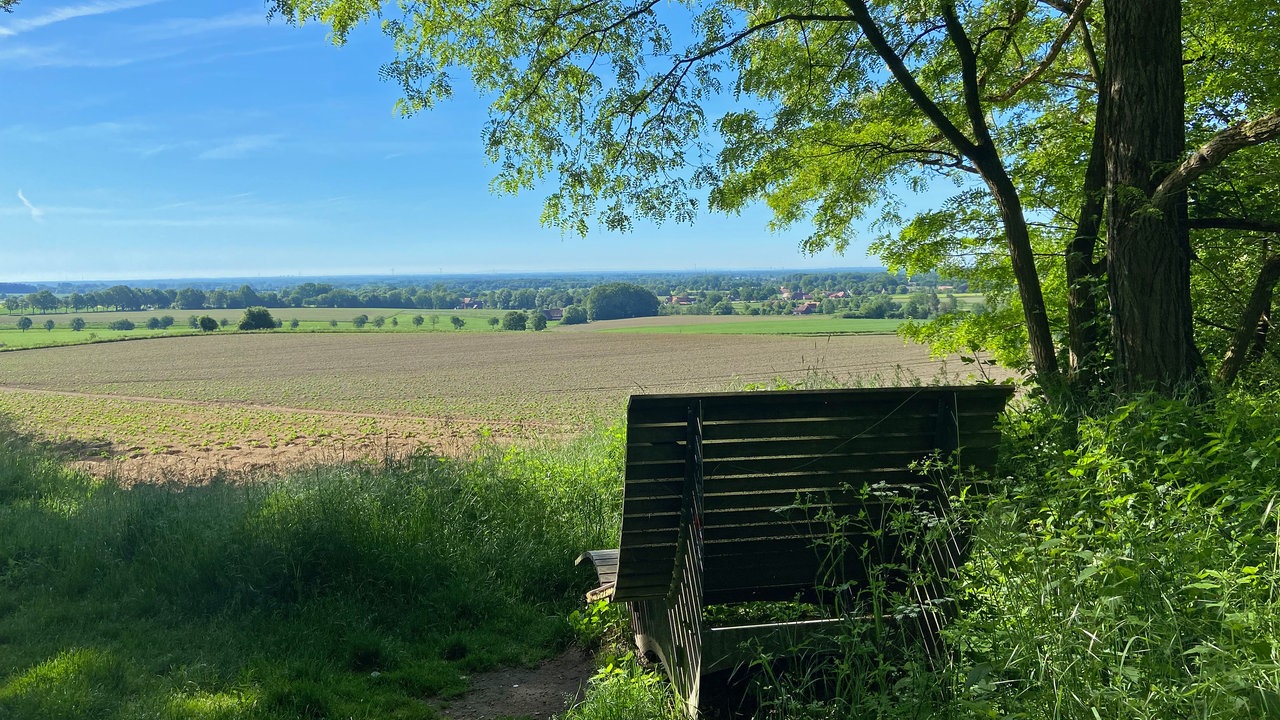 Durch die Baumberge 