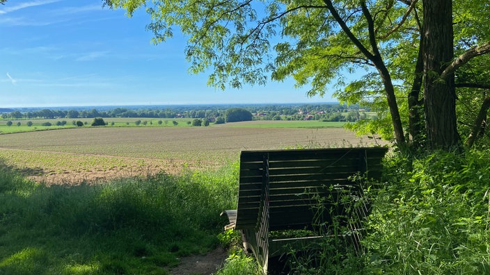 Durch die Baumberge 