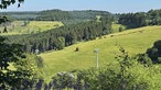 Wandern auf dem Bergwiesenpfad bei Winterberg: Blick über die begrünten Skihänge