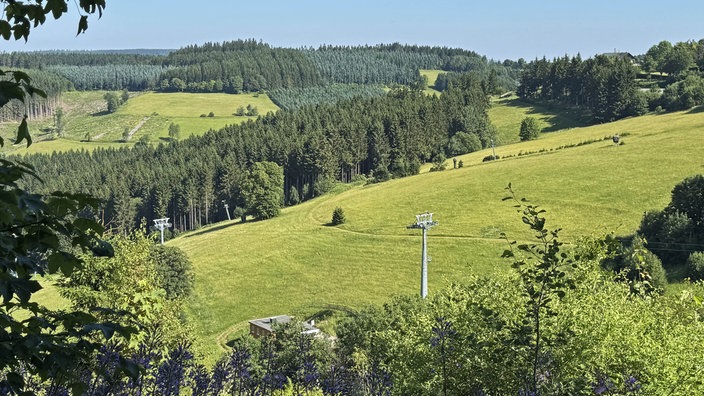 Wandern auf dem Bergwiesenpfad bei Winterberg: Blick über die begrünten Skihänge