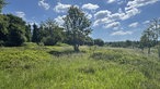Wandern auf dem Bergwiesenpfad bei Winterberg: Heidelandschaft mit Blau- und Preiselbeerbüschen
