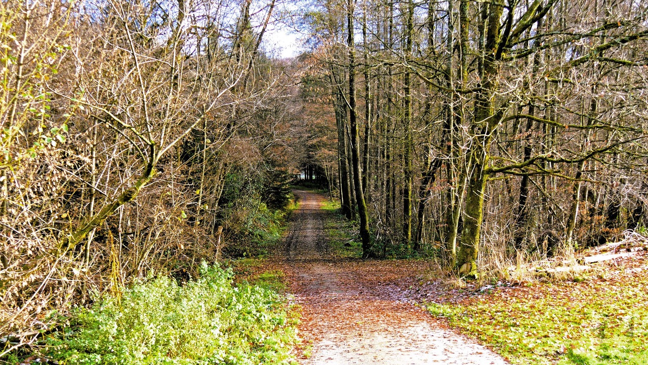 Gin-Wanderung in Much