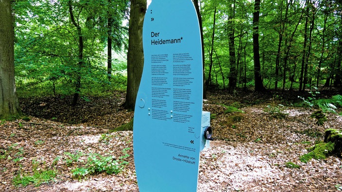 Droste-Land: Lyrikweg - Blaues manngroßes Hinweis-Schild mit dem Gedicht "Der Heidemann" zum Nachlesen