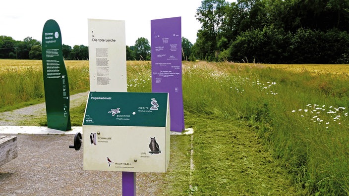 Droste-Land: Lyrikweg - Hörstation am Lyrikweg, mit drei Info-Stelen im Hintergrund