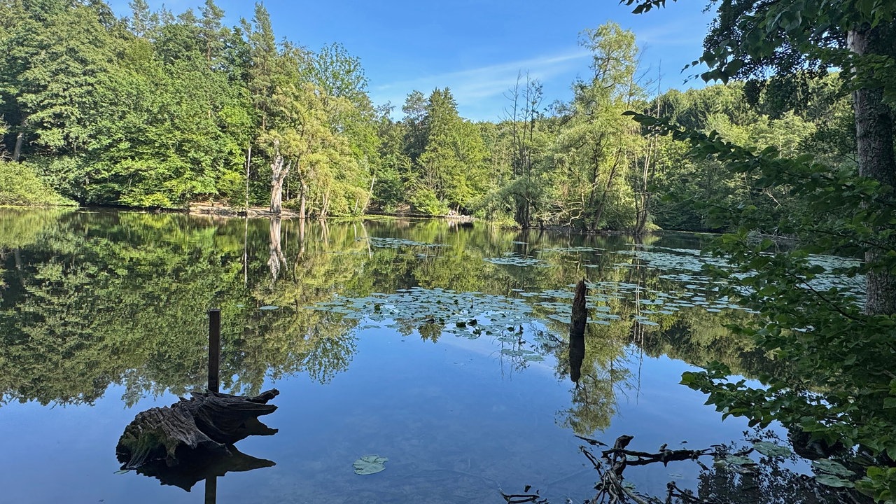 Hexenteich und Liebesweg in Menden im Sauerland: Blick über den Hexenteich mit Spiegelungen der umliegenden Bäume im ruhigen Wasser.