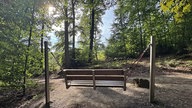 Hexenteich und Liebesweg in Menden im Sauerland: Schaukelbank auf einer Waldlichtung am Liebesweg, umgeben von hohen Bäumen.