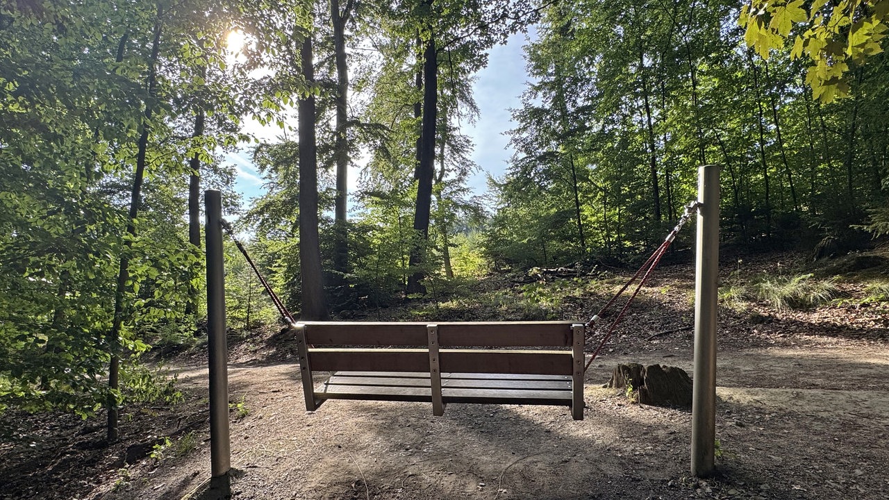 Hexenteich und Liebesweg in Menden im Sauerland: Schaukelbank auf einer Waldlichtung am Liebesweg, umgeben von hohen Bäumen.