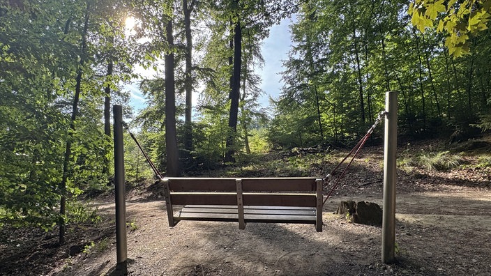 Hexenteich und Liebesweg in Menden im Sauerland: Schaukelbank auf einer Waldlichtung am Liebesweg, umgeben von hohen Bäumen.