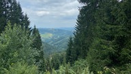Die Oberhundemer Bergtour: Weitblick durch eine Lichtung ins Tal