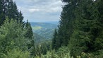 Die Oberhundemer Bergtour: Weitblick durch eine Lichtung ins Tal