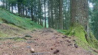 Die Oberhundemer Bergtour: Naturpfad, auch als Eselpfad bezeichnet
