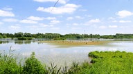 Rieselfelder Münster: Blick über das Wasser mit blauem Himmel