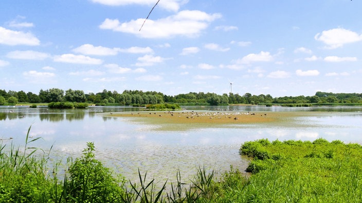 Rieselfelder Münster: Blick über das Wasser mit blauem Himmel
