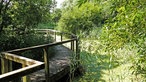 Rieselfelder Münster: Holzstegweg über das Wasser entlang des bewachsenen Ufers