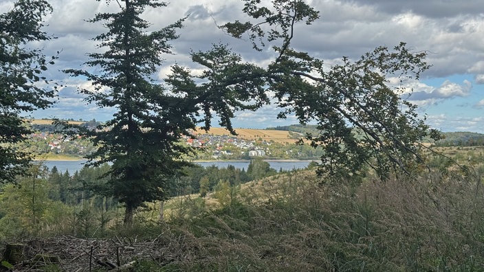 Wanderschön Sauerland-Waldroute: Ausblick über Baumwipfel und Tannen auf den See