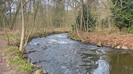Premium-Wanderweg "Schwalmbruch": Schneller fließende Flusskurve zwischen kahlen Bäumen im Wald.