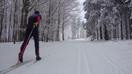 Langlauf der Extraklasse: Ein Langlauffahrer alleine auf einem schneebedeckten Waldweg von hinten