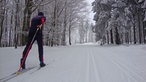 Langlauf der Extraklasse: Ein Langlauffahrer alleine auf einem schneebedeckten Waldweg von hinten