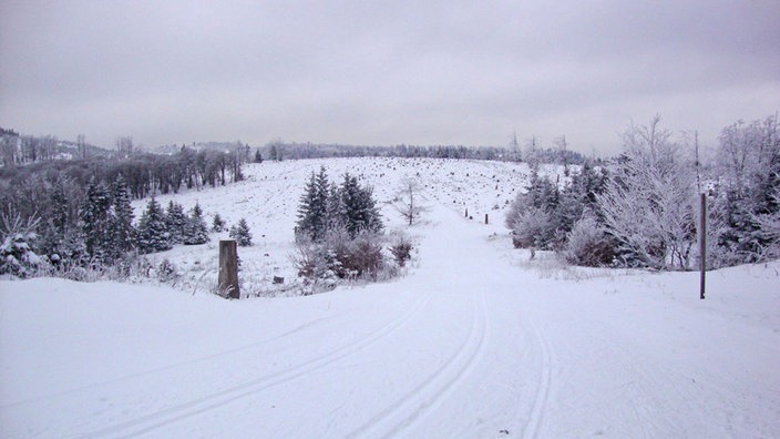 Bad Berleburg-Wunderthausen: Weitblick über schneebedeckte Landschaft
