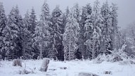 Bad Berleburg-Wunderthausen: wunderschöne Winterlandschaft