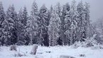 Bad Berleburg-Wunderthausen: wunderschöne Winterlandschaft